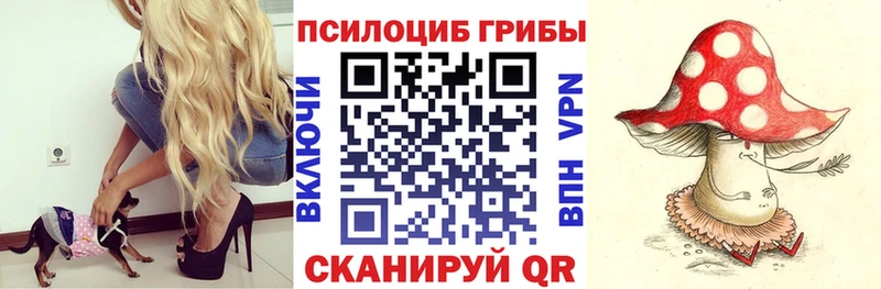 Псилоцибиновые грибы мухоморы ссылка на мегу как войти Курильск